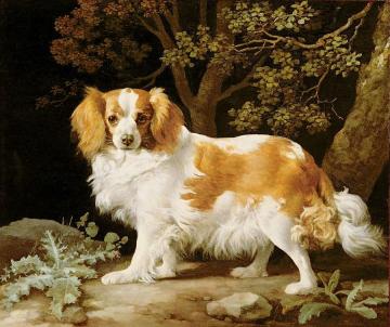 King Charles Spaniel Artwork by George Stubbs