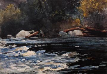 The Rapids, Husdon River, Adirondacks Artwork by Winslow Homer