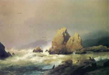 Seal Rocks Artwork by Herman Herzog