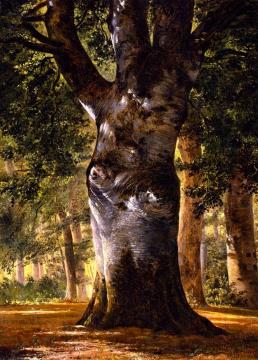 Trunk of a Beech Tree Artwork by Alexandre Calame