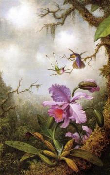 Two Hummingbirds and a PinkOrchid Artwork by Martin Johnson Heade