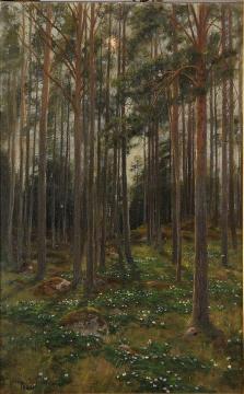 Forest Artwork by Johan Krouthén