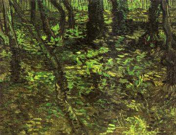 Undergrowth With Ivy Artwork by Vincent Van Gogh