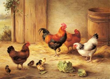 Chickens In A Barnyard Artwork by Edgar Hunt