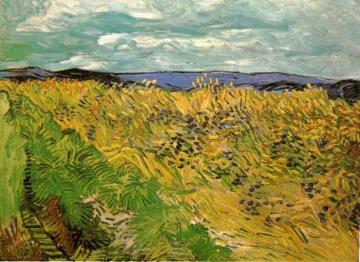 Wheat Field with Cornflowers Artwork by Vincent Van Gogh