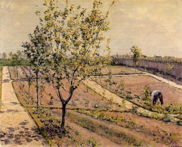 Kitchen Garden, Petit Gennevilliers Artwork by Gustave Caillebotte