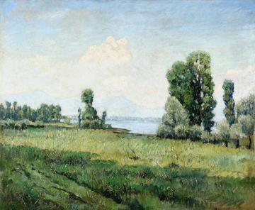 View of a Lake from the Meadows Artwork by Luigi Comoli