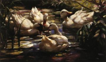 Ducks in a Forest Pond Artwork by Alexander Koester