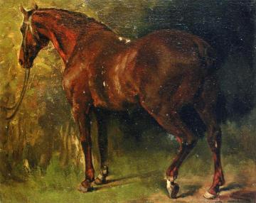 The English Horse Of M. Duval Artwork by Gustave Courbet
