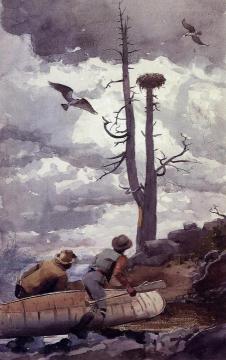 Osprey's Nest Artwork by Winslow Homer