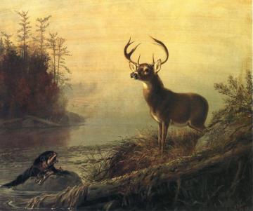 The Surprise Artwork by Arthur Fitzwilliam Tait