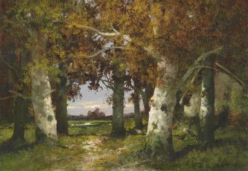 Forest Landscape Artwork by Adolf Kaufmann