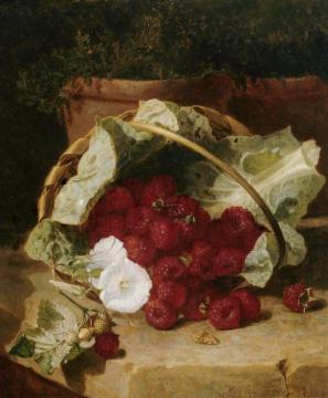 Raspberries in a Cabbage Leaf Lined Basket with White Convulus on a Stone Ledge Artwork by Eloise Harriet Stannard