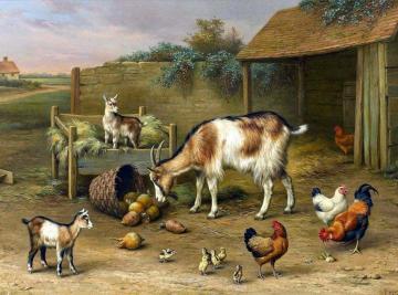 Goats, Chickens And Chicks In A Farmyard Artwork by Edgar Hunt