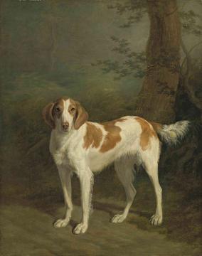Dash, a setter in a wooded landscape Artwork by Jacques-Laurent Agasse