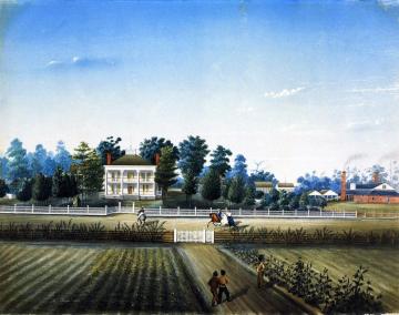 St. John Artwork by Marie Adrien Persac