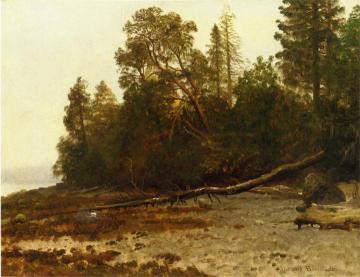 The Fallen Tree Artwork by Albert Bierstadt