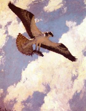 Osprey And Fish Artwork by Frank Weston Benson