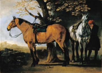 Two Horses Artwork by Abraham van Calraet