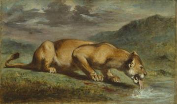 Wounded Lioness Artwork by Eugène Delacroix