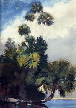 Palm Trees, Florida Artwork by Winslow Homer