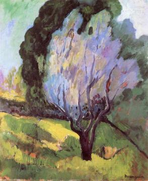 Saint-Tropez, A Flowering Tree Artwork by Henri Manguin