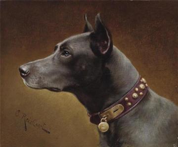 Black Doberman Artwork by Carl Reichert
