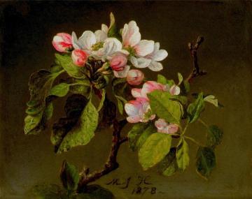 A Branch of Apple Blossoms and Buds Artwork by Martin Johnson Heade