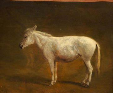 White Mule Artwork by Jacques-Laurent Agasse