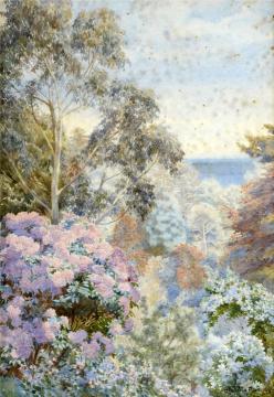 Rhododendrons and Eucalyptus Artwork by Beatrice E. Parsons