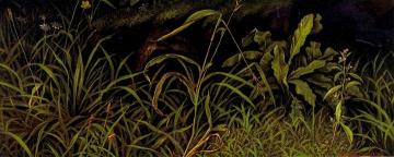 Forest Floor Artwork by Levi Wells Prentice