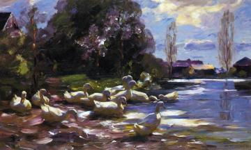 Twelve Ducks Setting Out Artwork by Alexander Koester