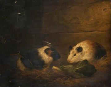 Study Of Guinea Pigs Artwork by George Morland