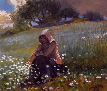 Girl and Daisies Artwork by Winslow Homer