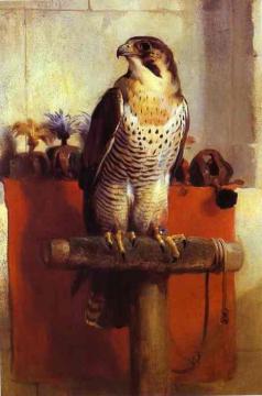 Falcon Artwork by Edwin Henry Landseer