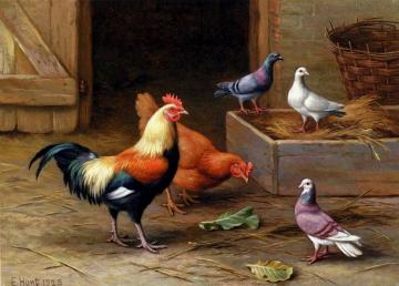 Chickens, Pigeons and a Dove Artwork by Edgar Hunt