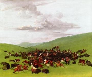 Buffalo Hunt, A Surround By The Hidatsa Artwork by George Catlin