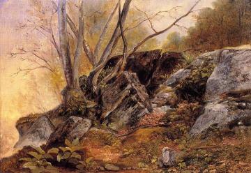 Study from Nature, Rocks and Trees Artwork by Asher B. Durand