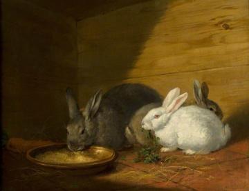 Rabbits Artwork by George Morland