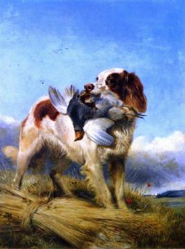 An English Setter Retrieving Partridge Artwork by Richard Ansdell