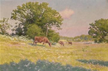 Grazing cows Artwork by Johan Krouthén