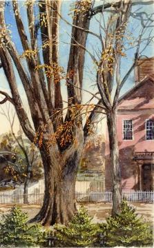 Elm, East Hartford, Connecticut Artwork by Charles De Wolf Brownell