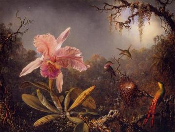 Cattleya Orchid and Three Brazilian Hummingbirds Artwork by Martin Johnson Heade