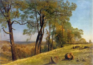 Landscape, Rockland County, California Artwork by Albert Bierstadt