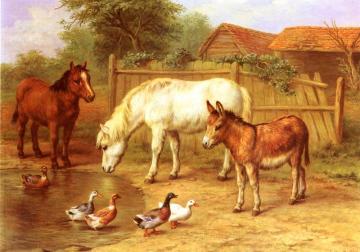Ponies, Donkey and Ducks in a Farmyard Artwork by Edgar Hunt