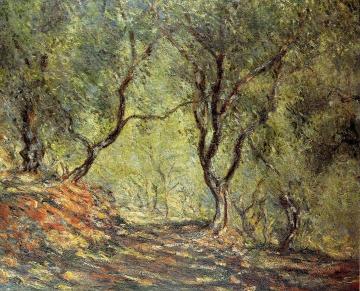 The Olive Tree Wood in the Moreno Garden Artwork by Claude Oscar Monet