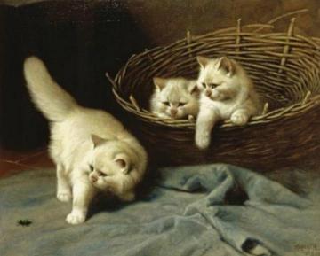 White Angora Kittens With A Beetle Artwork by Arthur Heyer