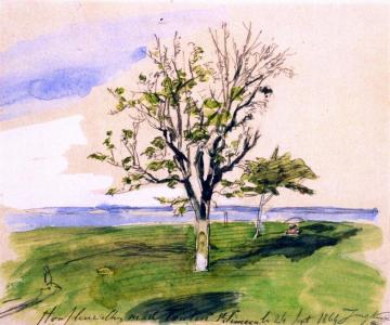 Tree at the Seine Estuary Artwork by Johan Berthold Jongkind