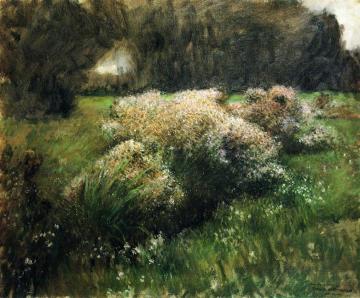 Wild Asters, Study Artwork by Dennis Miller Bunker