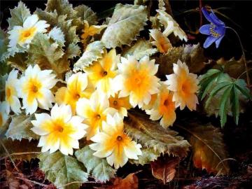 Untitled Artwork by Raymond Booth